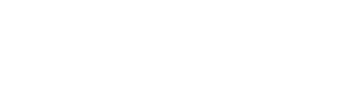 Frontline Avionics