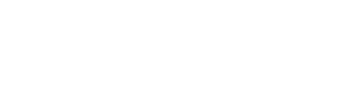 Siberian Federal University